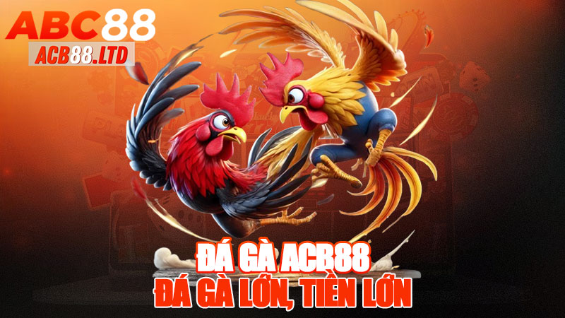 Đá Gà Acb88 - Đá Gà Lớn, Tiền Lớn!