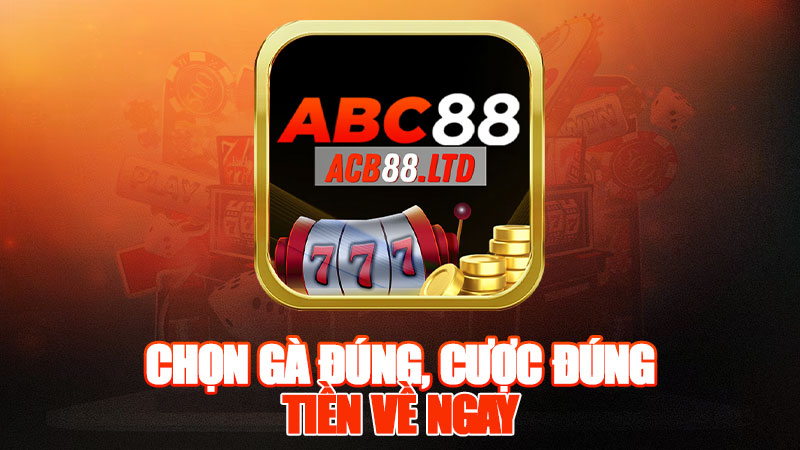 Chọn Gà Đúng, Cược Đúng, Tiền Về Ngay!